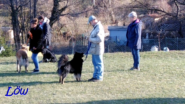 9.3.2019 - Kommando: Gruppe "Steh"